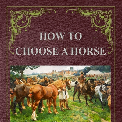 How to Choose a Horse